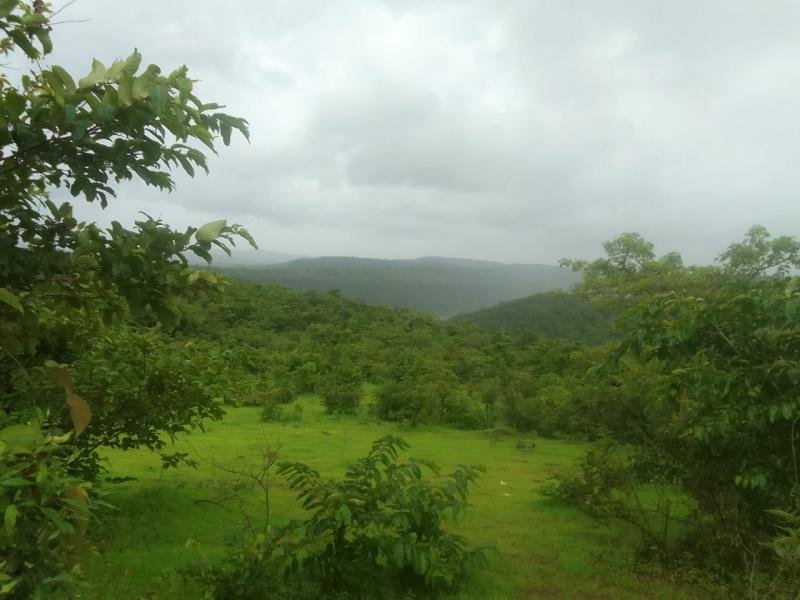 Ananta Oxygen Farms Plots for sale Mahu, Mandangad, Ratnagiri, Maharashtra , Mandangad