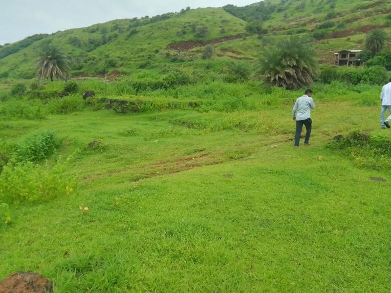 Ananta Oxygen Farms Plots for sale Mahu, Mandangad, Ratnagiri, Maharashtra , Mandangad Farmhouse Plotting Project