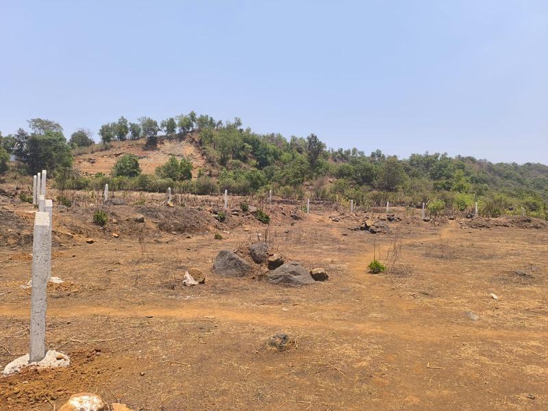 GROWTH CENTRE PLOTS FOR SALE IN PEN Plots for sale Pen, Raigad, Maharashtra , Pen Residential NA Plotting Project