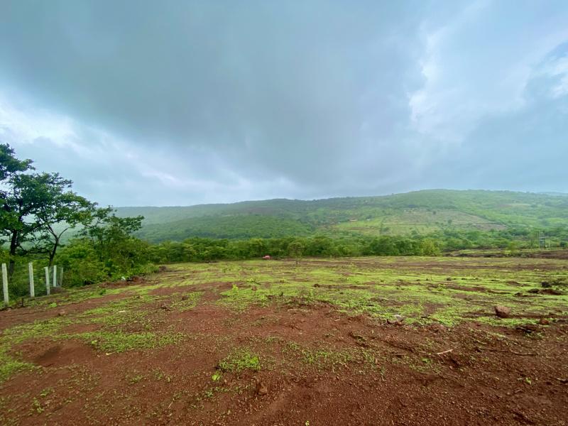 Arcasa Estate Plots for sale Arcasa Estate, Tambdiwadi, Roha, Raigad , Raigad Residential NA Plotting Project