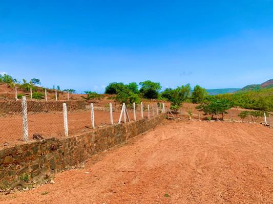 Bandal Ved Bhumi Phase 2 Plots for sale Bandal Ved Bhumi Phase 2, Bhoste / Shirvardhan, Raigad , Konkan Residential NA Plotting Project