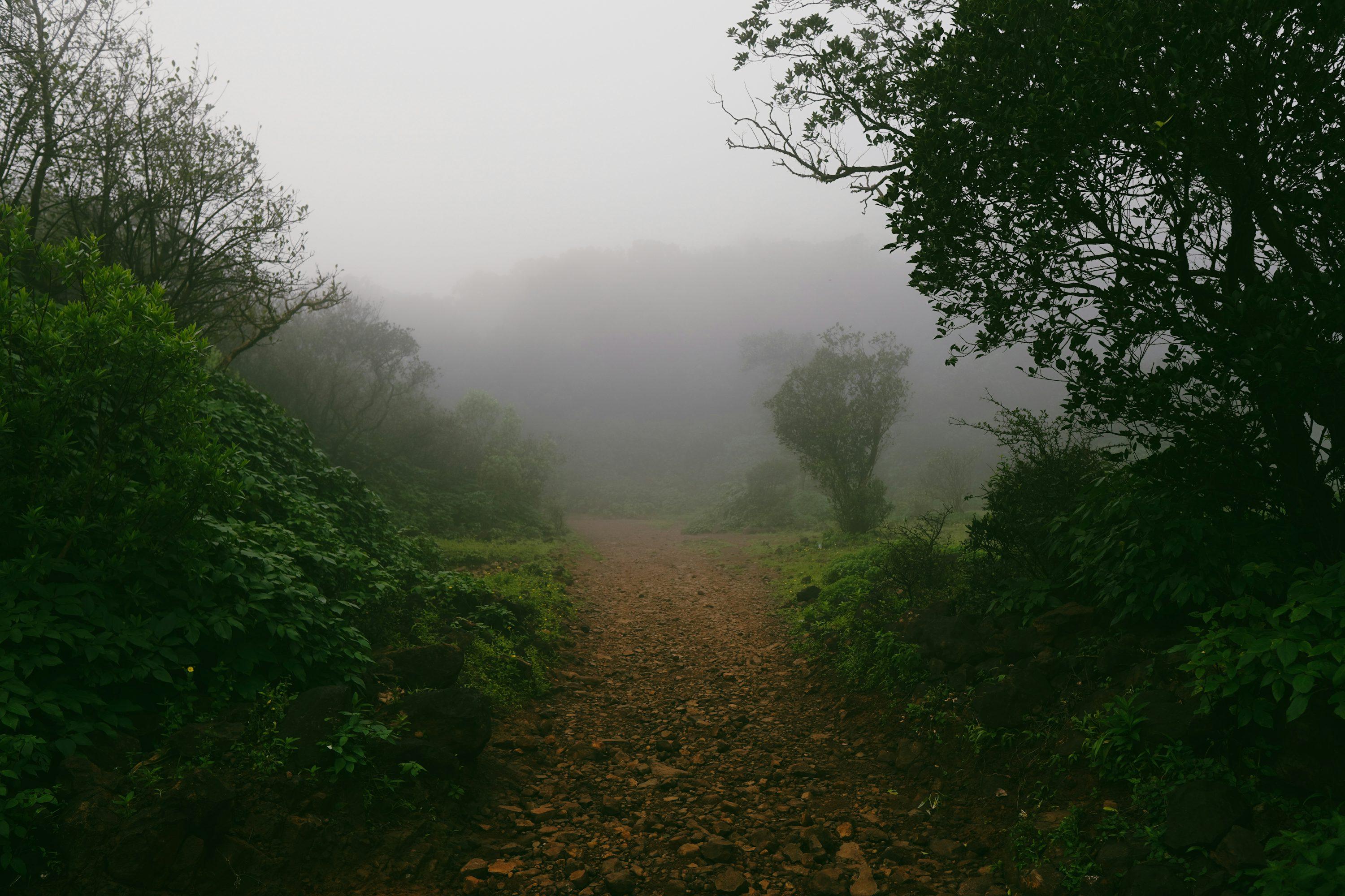 Bhimashankar Forest Nest Plots for sale Bhimashankar, Near Palkhewadi, Karkudi, Tokawade, Khed, Pune, Maharashtra – 412402 , Pune