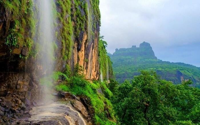 Bhimashankar Forest Nest Plots for sale Bhimashankar, Near Palkhewadi, Karkudi, Tokawade, Khed, Pune, Maharashtra – 412402 , Pune Farmhouse Plotting Project