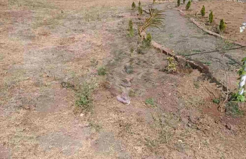 Dream Land Park Plots for sale Wai, District Satara, Maharashtra – 412803 , Wai
