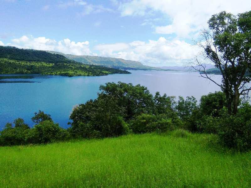 Golden Water Plots for sale Golden Water, Panshet, Pune , Velhe Residential NA Plotting Project