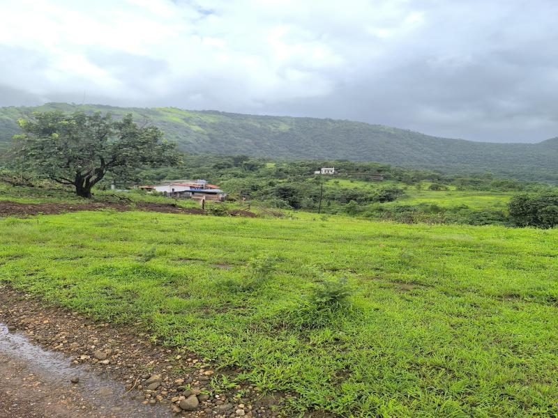 Khopta Township Bungalow Plots Plots for sale Khopta New Town, Pen, Raigad, Maharashtra , Pen