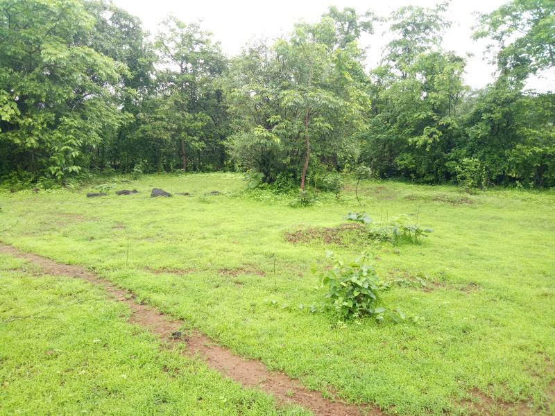 Little Konkan Farm Plots for sale Kolad, Raigad, Maharashtra, India , Raigad Residential NA Plotting Project