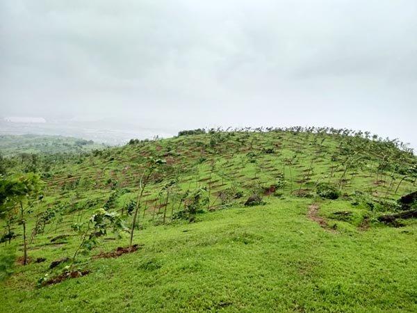 Mahagaon Hills Plots for sale Mahagaon Hills, Mahagaon–Satara–Koregaon Road, Satara , satara Residential NA Plotting Project