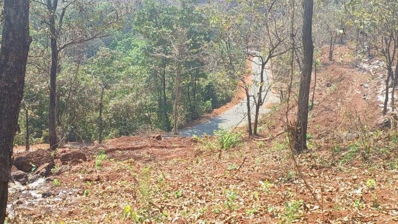 Marlin Plots Plots for sale Malewad, Sawantwadi, Sindhudurg, Maharashtra – 416510 , Sindhudurg