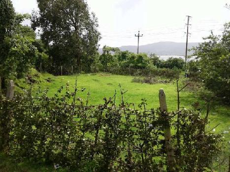 Morya Palms Plots for sale Roha–Tala Road, Tala, Raigad, Maharashtra , Tala