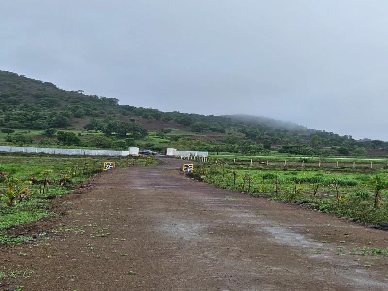 Nature's Nook Plots for sale Pahine, Trimbakeshwar, Nashik, Maharashtra , Nashik