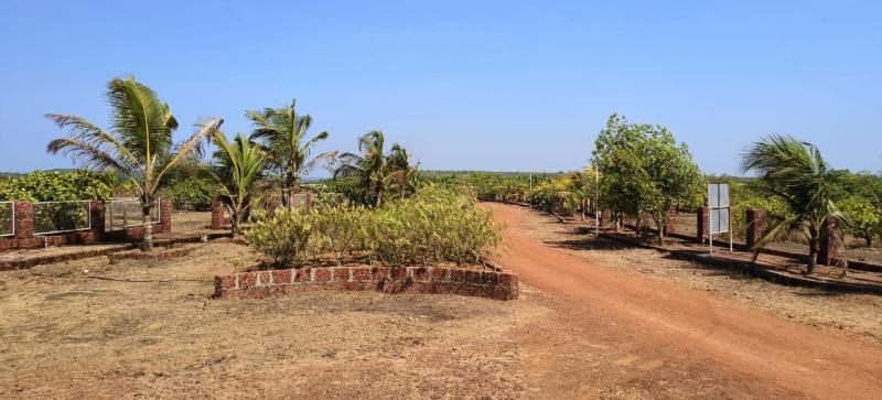 Oceano Malvan Plots for sale Malvan, Sindhudurg, Maharashtra , Malvan
