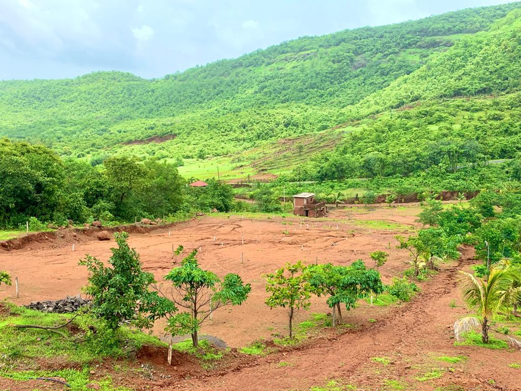 Punir Gaurav Plots for sale Punir, Post-Chikhalap, Walwat Road, Shrivardhan, Raigad, , Konkan