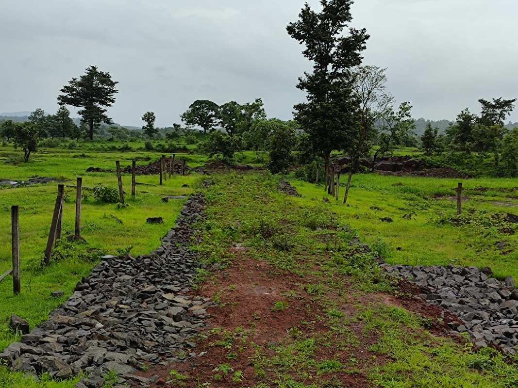 Saras Baug Agro Plots for sale Aptavane, Sudhagad-Pali, Raigad , Sudhagad