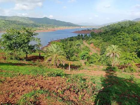 Scenic Farm Plots for sale Bhor–Velhe Region, Pune, Maharashtra – 412212 , Bhor Farmhouse Plotting Project