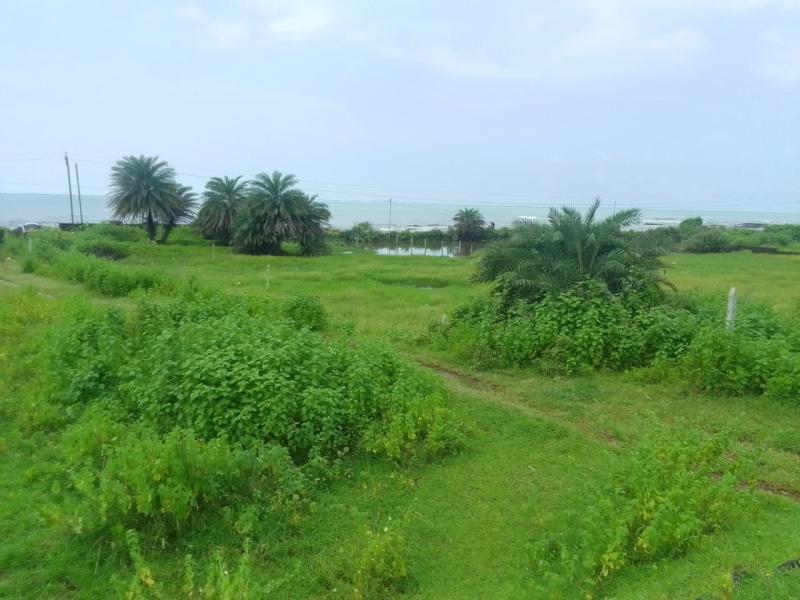 Serene County Phase II Plots for sale Nasrapur, Tambhad Village, Pune, Maharashtra , Bhor Farmhouse Plotting Project