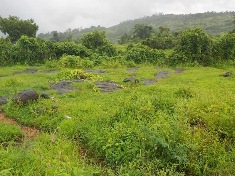 Shambhala Hills Plots for sale Shambhala Hills, Gomashi, Sudhagad, Raigad, Maharashtra , Raigad Residential NA Plotting Project
