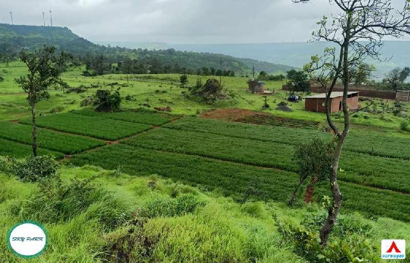 Shree Arambh Green Valley Plots for sale Jinti Village, Patan Taluka, Satara, Maharashtra – 415112 , patan Farmhouse Plotting Project