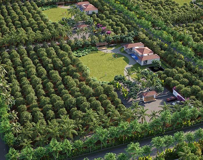 Tathastu Mango Valley Plots for sale Narbe / Machivalewadi, Ratnagiri, Maharashtra , Ratnagiri