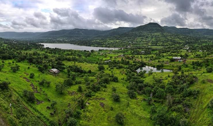 The Roots Plots for sale The Roots, Rihe Valley, Near Hinjewadi Phase 3, Pune, Maharashtra , Pune
