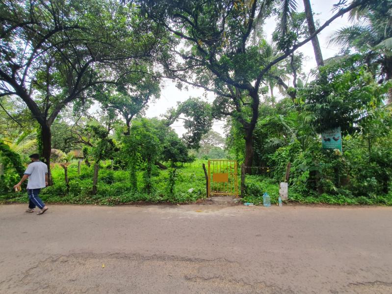 Vengurla Bhatwadi NA Plots Plots for sale Bhatwadi, Vengurla, Sindhudurg, Maharashtra , Sindhudurg