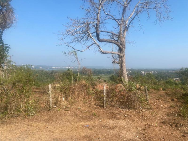 Vista De Bambolim Plots for sale Curca, Bambolim, Tiswadi, North Goa, Goa – 403108 , Tiswadia